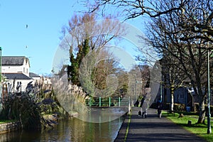 Tavistock Canal