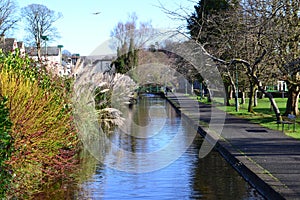 Tavistock Canal 2
