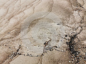 Shot of the texture of wet sand - perfect for background