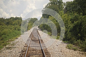 Shot of train rails lied through the forest and foliage