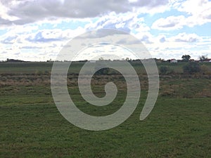 Field in HajdÃÂº-Bihar