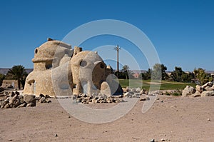 Shot of TURTLE HOUSE El Gouna in El Gouna, Red Sea, Egypt, Africa