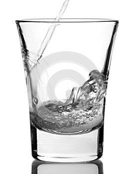 Shot of vodka