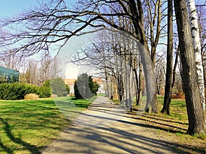 Shot of the walkway in the park next to grass and naked trees in Jelenia GÃ³ra, Poland.