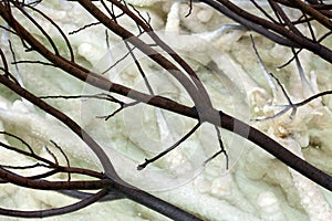 Withered Bush Branches & Salt Clusters photo