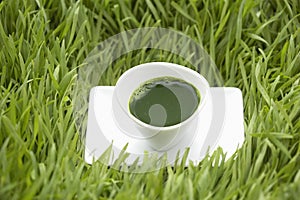 Shot of Wheatgrass Juice