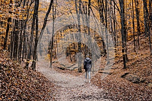 Shot of a woman walking in an autumn forest