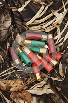 Shotgun shells.