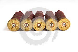 Shotgun Shells