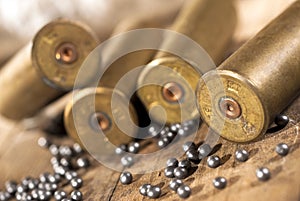Shotgun shells and shot photo