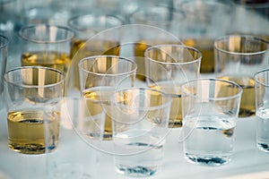 Shots lined up on plastic tray background