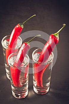 Shots of vodka and red pepper/shots of vodka and red pepper on a dark background. Drink set