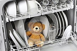 Should never put in the dishwasher.