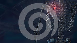 The scapula or shoulder blade for Backache and sci concept 3d rendering