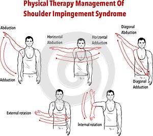 Shoulder Joint Movements vector illustration