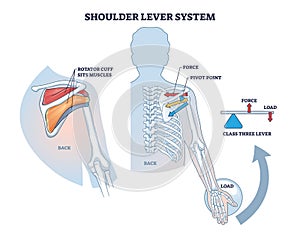 Shoulder lever system for shoulder and upper body movement outline diagram