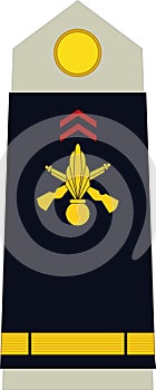 Shoulder pad military officer insignia of the France ASPIRANT