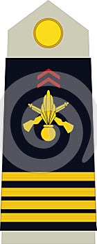 Shoulder pad military officer insignia of the France COMMANDANT