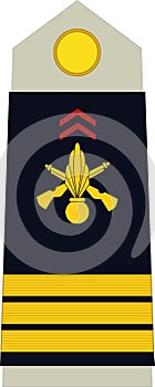 Shoulder pad military officer insignia of the France CAPITAINE (CAPTAIN)