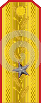 Shoulder pad military NATO officer insignia of the Romanian GENERAL DE BRIGADÃâ BRIGADIER GENERAL photo
