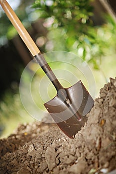 Shovel photo