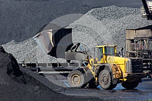 Shovel moving coal