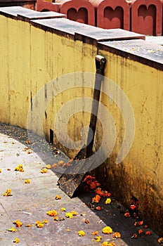 Shovel and flower heads