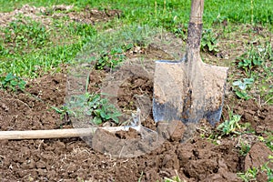 Shovel in the garden close-up