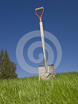 Shovel in the grass