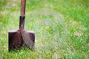 Shovel in green grass photo