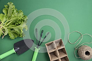 Pala verde piantine torba pentole Sono crescente piantine un sul verde. Giardino dietro la casa 