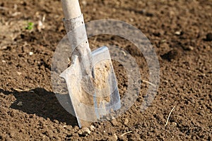 Shovel in the Ground stock