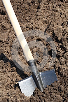 Shovel on the kitchen garden