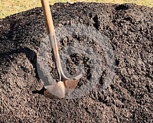 Shovel in pile of topsoil photo