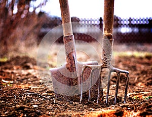 Shovel and pitchfork in soil in spring garden