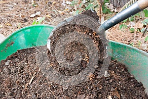 Shovel Pours Compost into Wheelbarrow