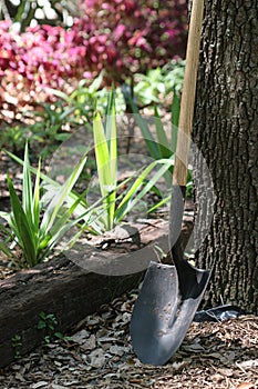 Shovel at Rest