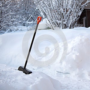 Shovel snow