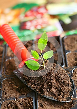 Shovel with soil