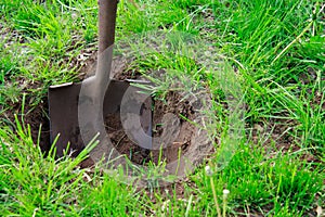 Shovel in the soil