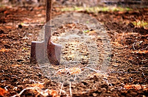 Shovel in soil in spring garden