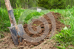 The shovel stands on freshly dug soil