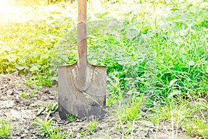 A shovel stuck into the ground.