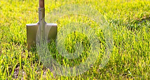 Shovel stuck in the ground. Garden tools on a green lawn.