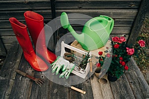 Shovel, watering can, hat, rubber boots, box of flowers, gloves and garden tools