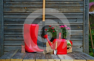 Shovel, watering can, hat, rubber boots, box of flowers, gloves and garden tools