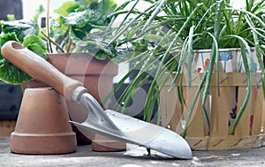 shovel on a wooden table among flowerpot and plant