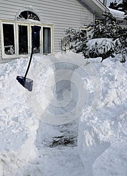 Shoveled footpath through the deep snow