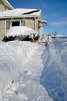 Shoveled Sidewalk