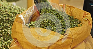 Shoveling the dried hop cones into a transport bag